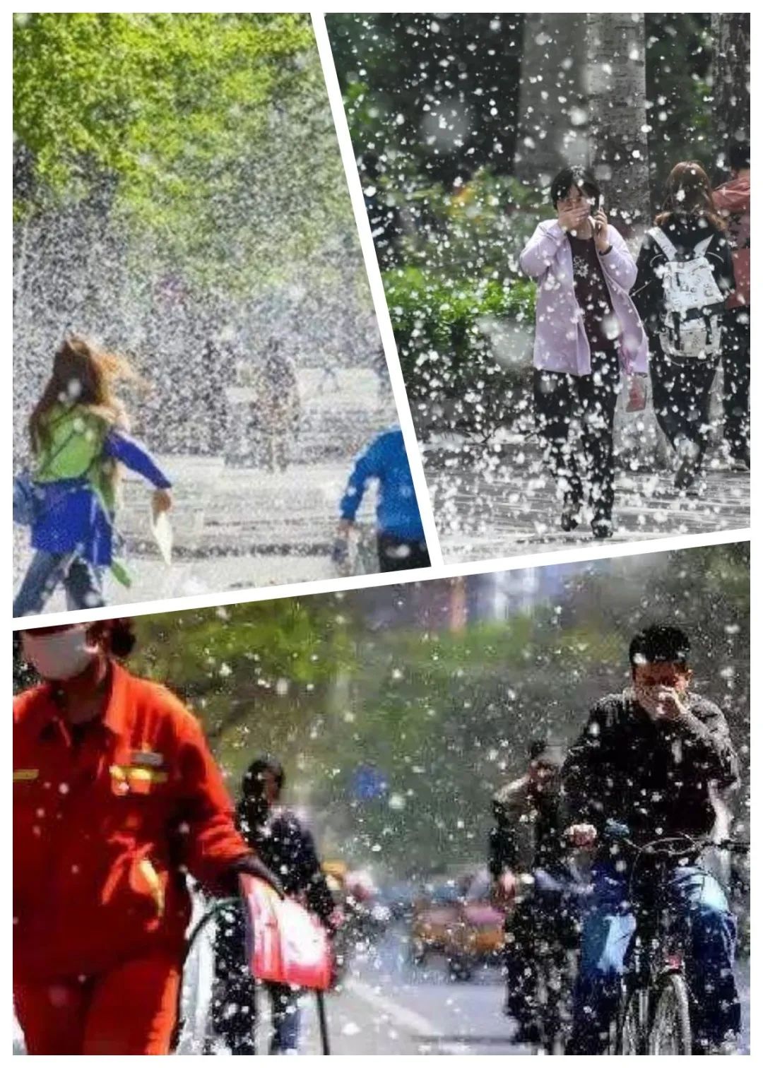 2024052014382871.jpg 2024052014382871.jpg