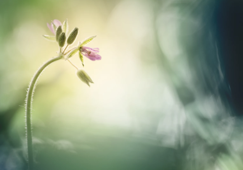 2024052058415337.png 2024052058415337.png